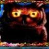 Owl Eyes online